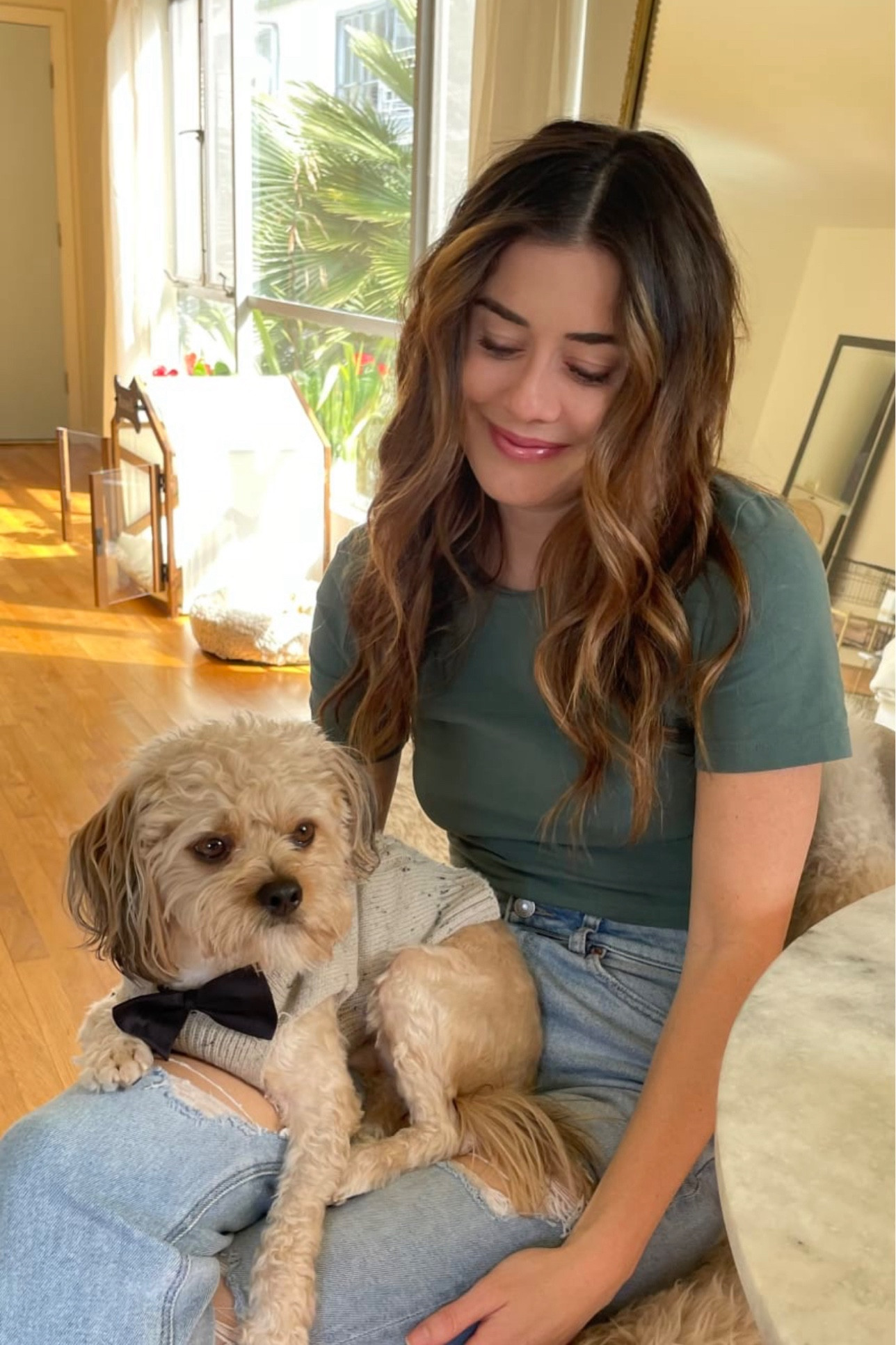 Puppy Love ♥️ 

#LTKHome #LTKFamily #LTKSaleAlert
