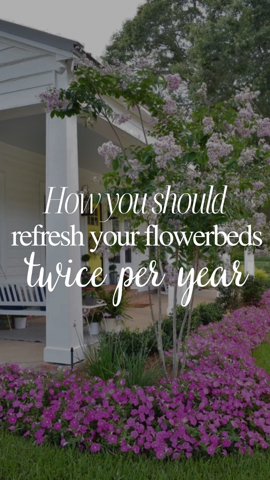 Something I never thought I would say on social media: "My pine straw made the Internet mad."
Two times a year my amazing landscaper Robert switches out the annuals in my flowerbeds. This is actually a refresh from last year. Stay tuned to see my annuals from this year.
Here's a short video showing the full refresh. 
Let me know if you have any questions about refreshing my flowerbeds twice a year.



#LTKHome #LTKWatchNow