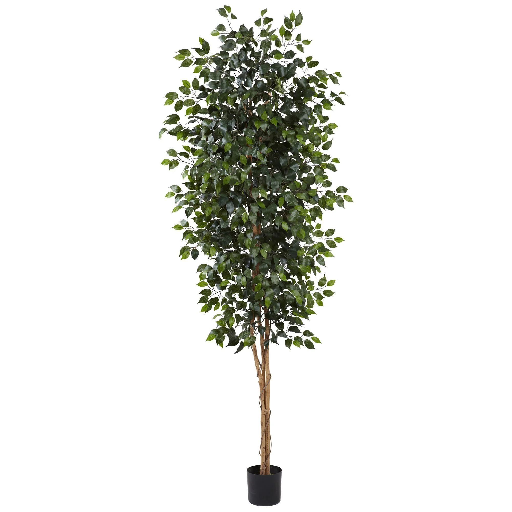 8’ Ficus Tree w/1512 Lvs | Nearly Natural