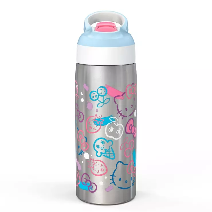 19oz Stainless Steel Double Wall Water Bottle - Zak Designs