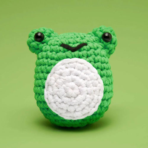 Henri the Frog Learn to Crochet Kit | Barnes & Noble