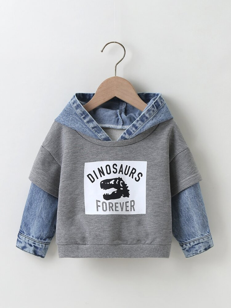 Toddler Boys 2 In 1 Dinosaur & Letter Graphic Hoodie | SHEIN