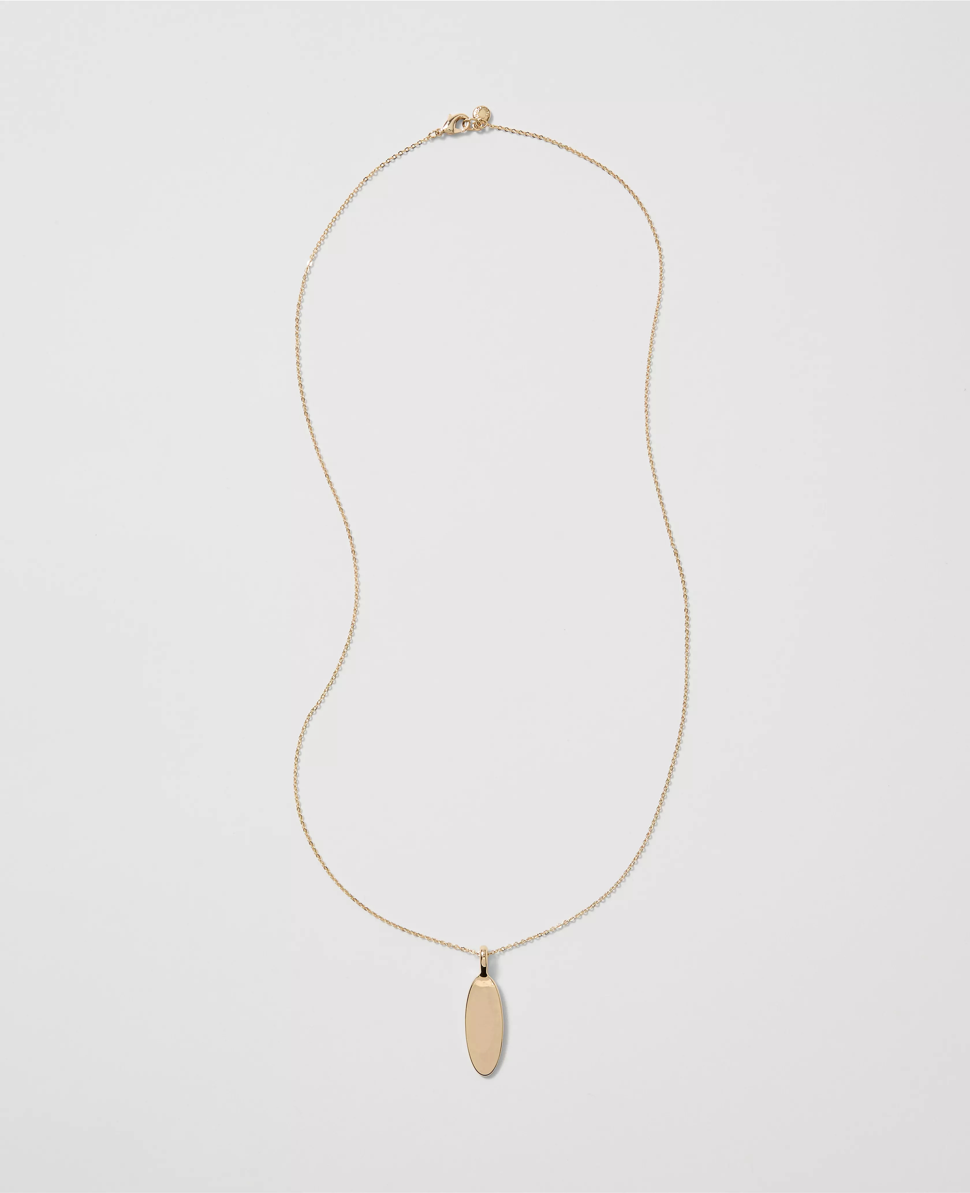 The link to Metal Pendant Necklace has been copied | Ann Taylor