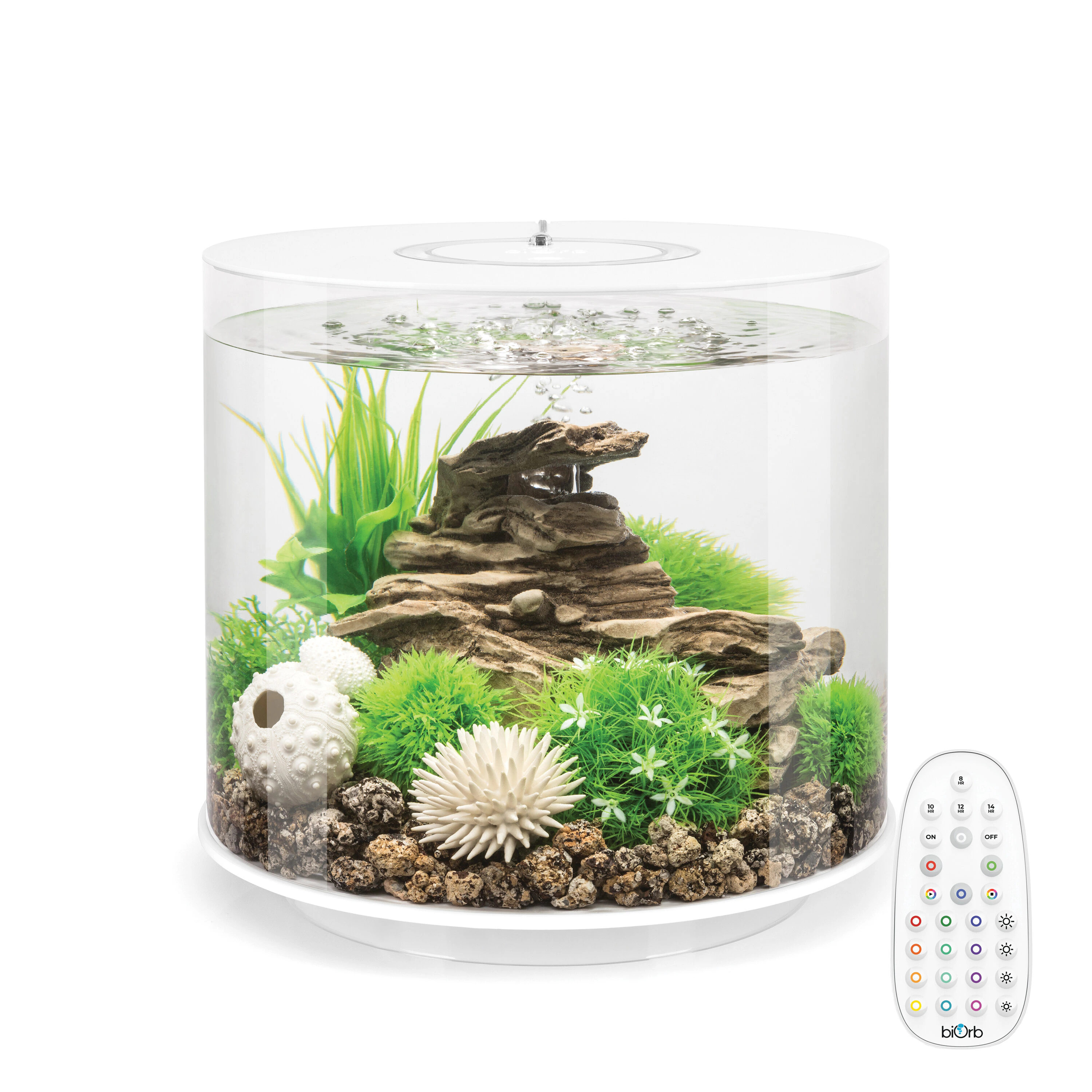biOrb TUBE 12-in x 13-in Acrylic 4-Gallon Fish Aquarium in White | 72065 | Lowe's