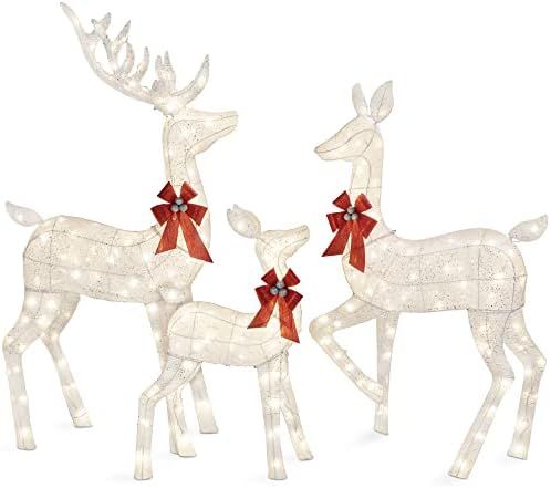 Best Choice Products 3-Piece Lighted Christmas Deer Family Set Outdoor Yard Decoration with 360 L... | Amazon (US)