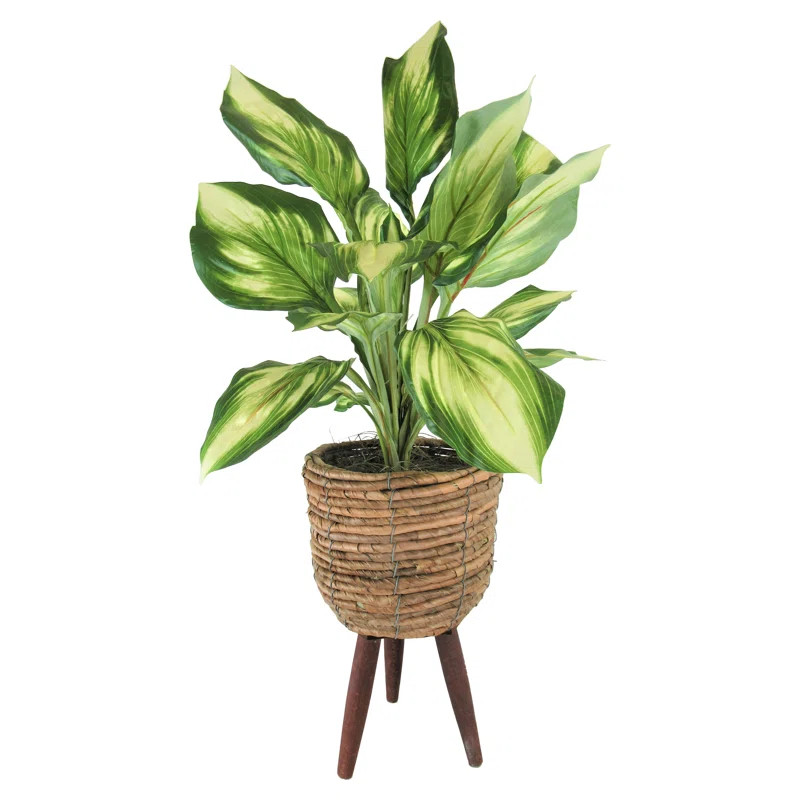 28'' Faux Foliage Plant in Basket | Wayfair Professional