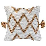 Foreside Home & Garden FIPL09261 Brown Decorative Throw Diamond Motif Woven 18x18 Outdoor Pillow w/H | Amazon (US)