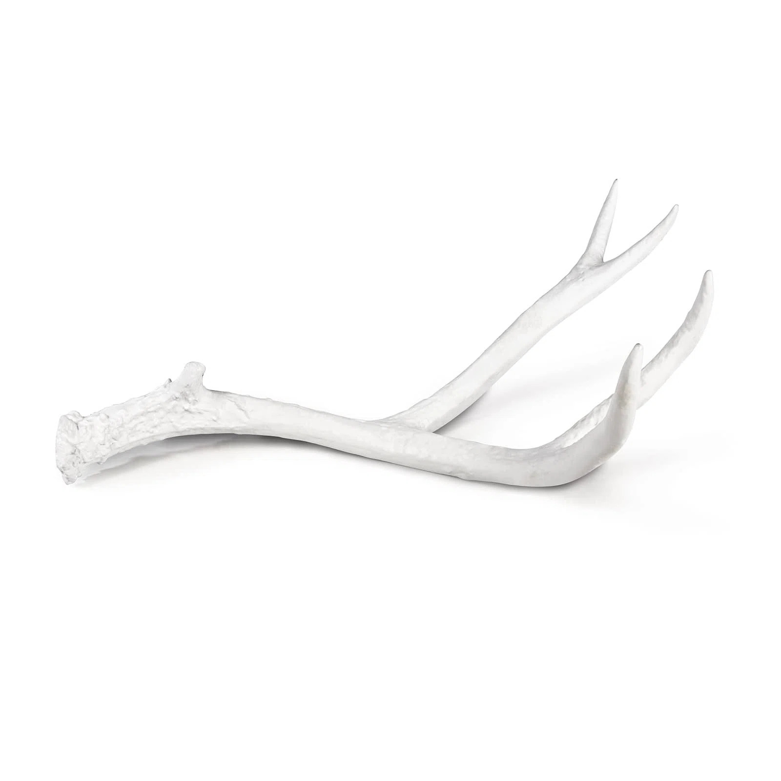 ReginaAndrew Antler Objet Large | Wayfair | Wayfair North America