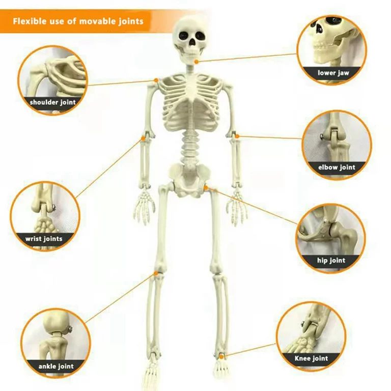 Thaisu Halloween Skeleton Bone Model 15 Inches for Haunted Houses Graveyard Scene Decoration - Wa... | Walmart (US)