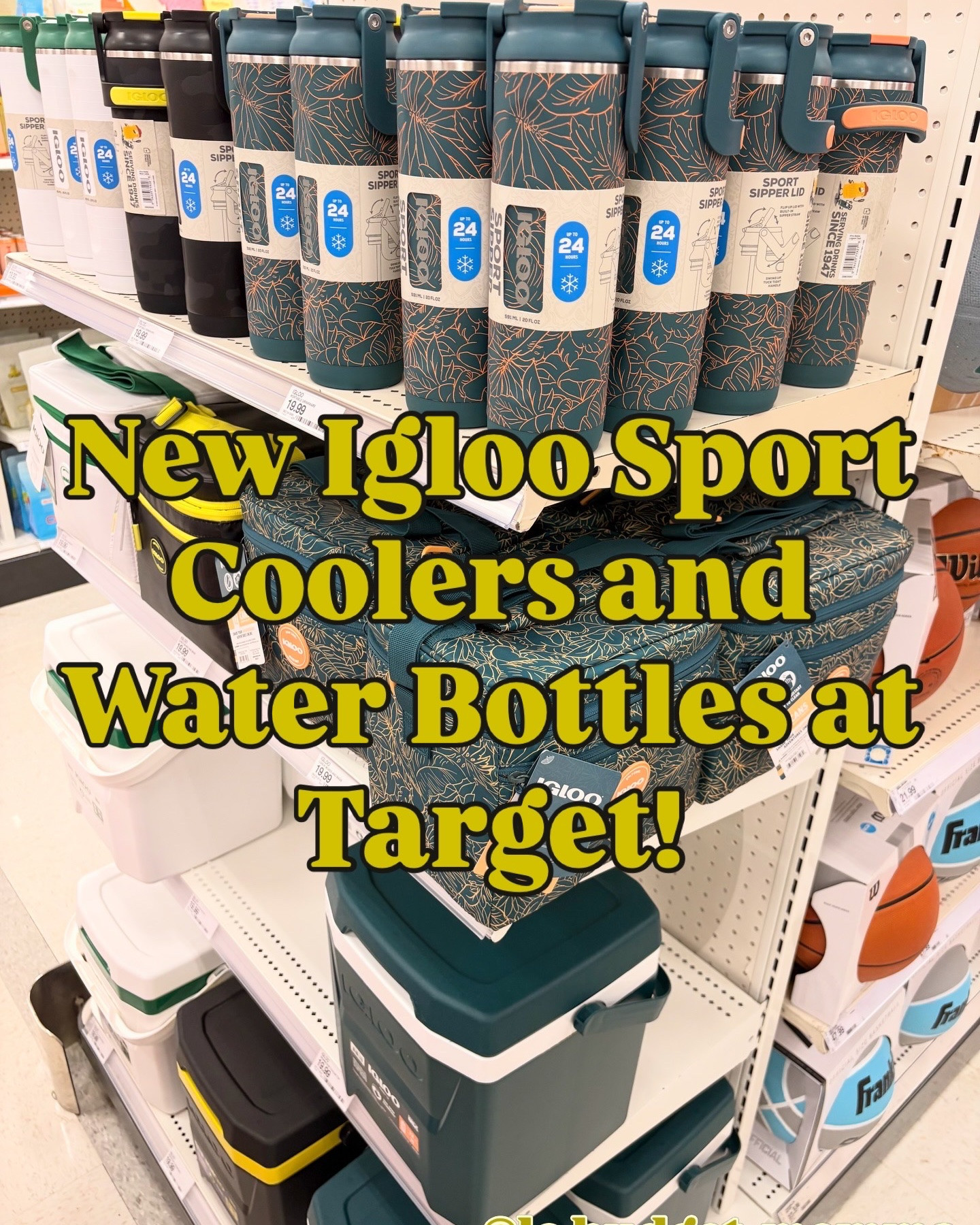 #cooler #coolers #waterbottle #sport #targetfinds

#LTKfitnessgoals #LTKSeasonal #LTKActive