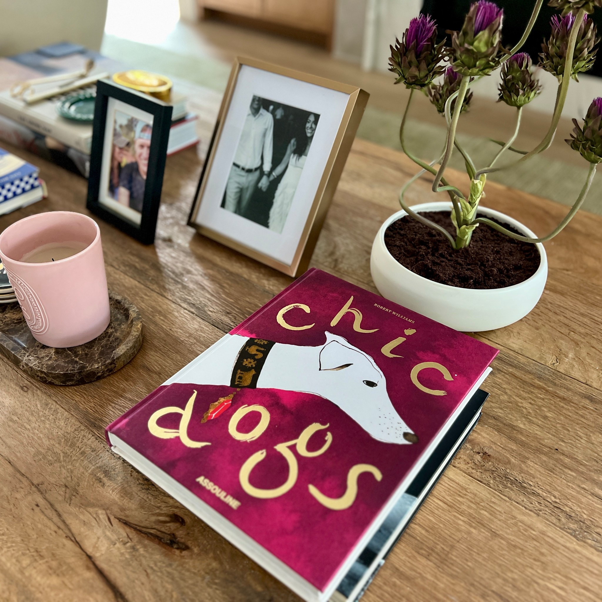 Add a pop of color to your decor with this bright coffee table book. Perfect for any dog lover. 

#LTKmomlife #LTKselfcare #LTKHome