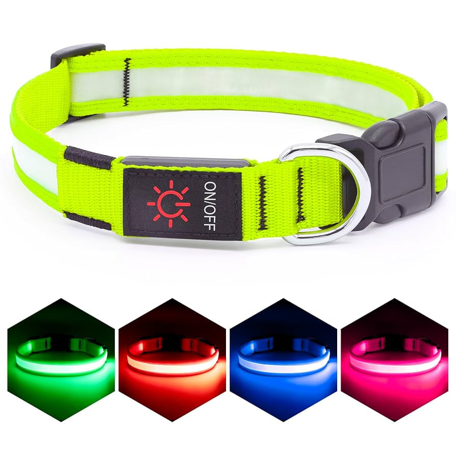 Vizpet LED Dog Collar, Light Up Dog Collar Adjustable USB Rechargeable Super Bright Safety Light ... | Amazon (US)