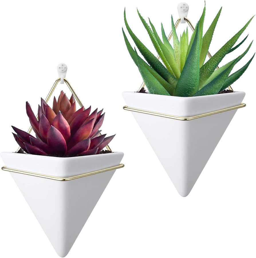 Amazon.com: HangerSpace Wall Planter Ceramic Hanging Planter, 5.8 inch Pack of 2 Succulent Plante... | Amazon (US)
