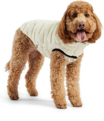 GF Pet Cloud Dog Parka, Sand, Medium | Chewy