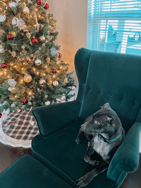 Happy holidays to everyone & their furry friends

Christmas
Dog
Cat
Pet
Holiday decor
Decorations

#LTKhome #LTKHoliday #LTKSeasonal