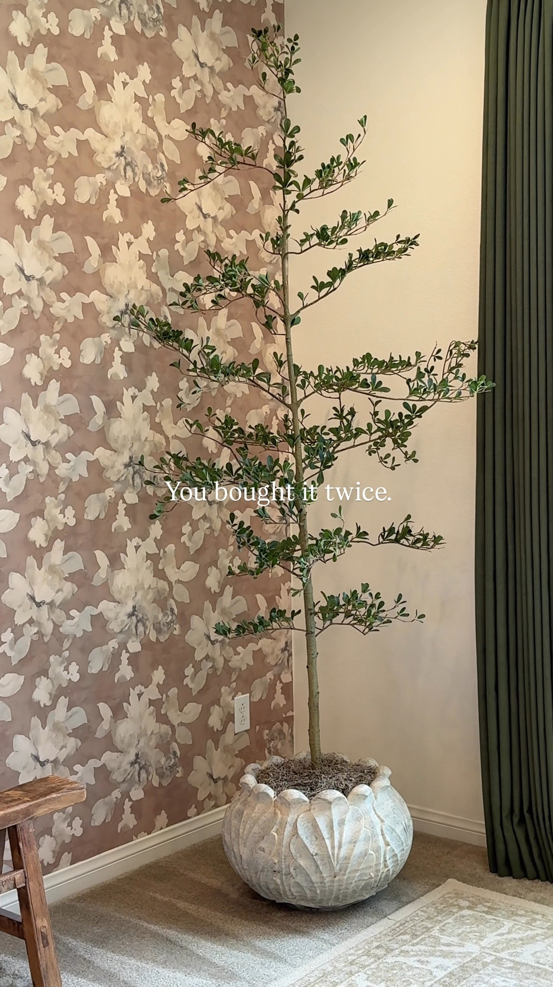 This has got to be one of my favorite faux trees from Amazon. The price is perfect and exudes a very luxe look! This tree is perfect for a slim corner or a space that can't withhold a massive tree! #amazon #founditonamazon #homedecor #home  

 

#LTKActive #LTKU #LTKHome