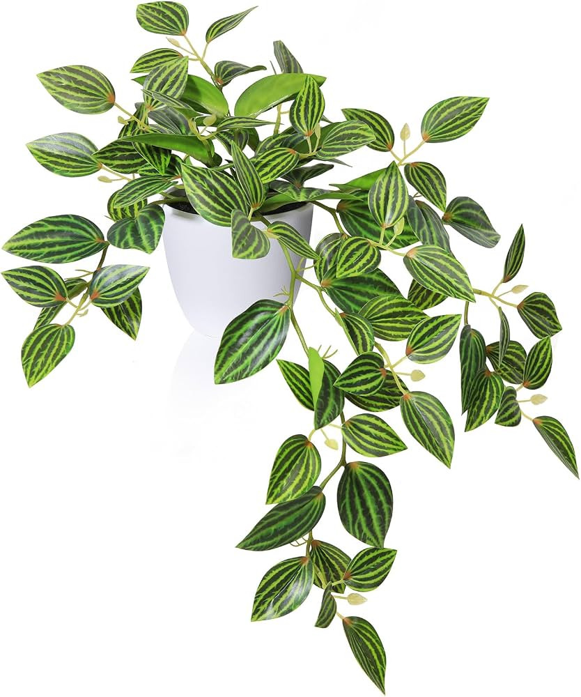 SOGUYI Fake Plants, Artificial Plants 15 Inch Faux Peperomia Watermelon Plants for Indoor Outdoor... | Amazon (US)
