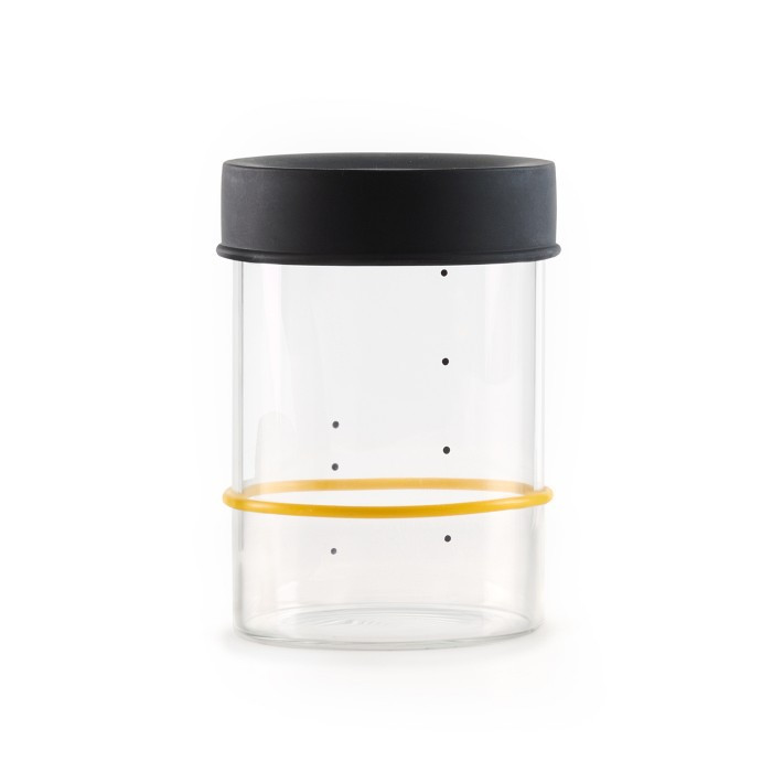 Sourhouse™ Starter Jar | Williams-Sonoma