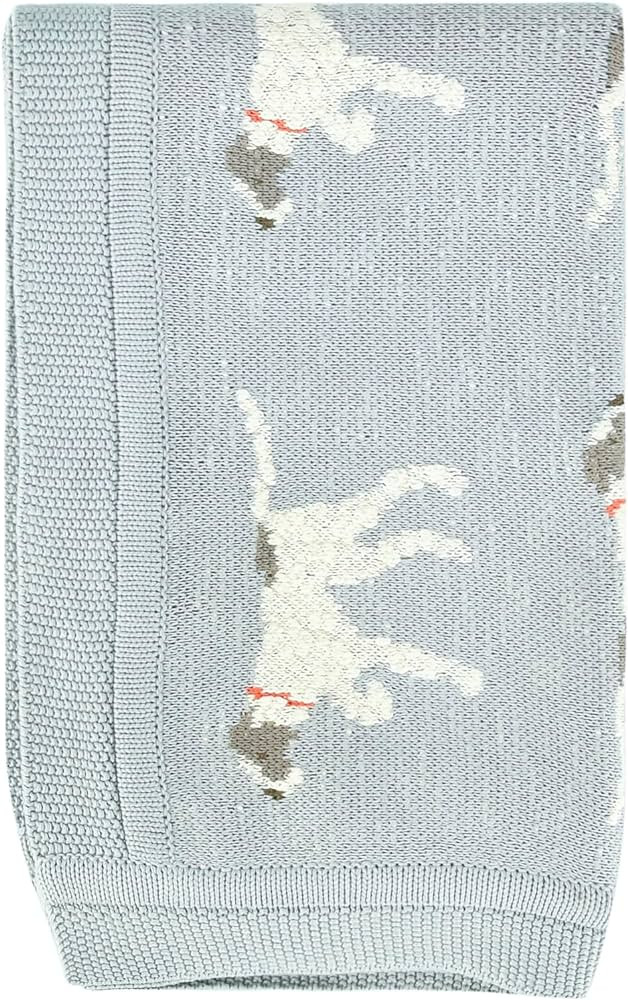 Creative Co-Op DF2527 40" L x 32" W Cotton Knit Baby Dog Blanket, Blue, Small | Amazon (US)