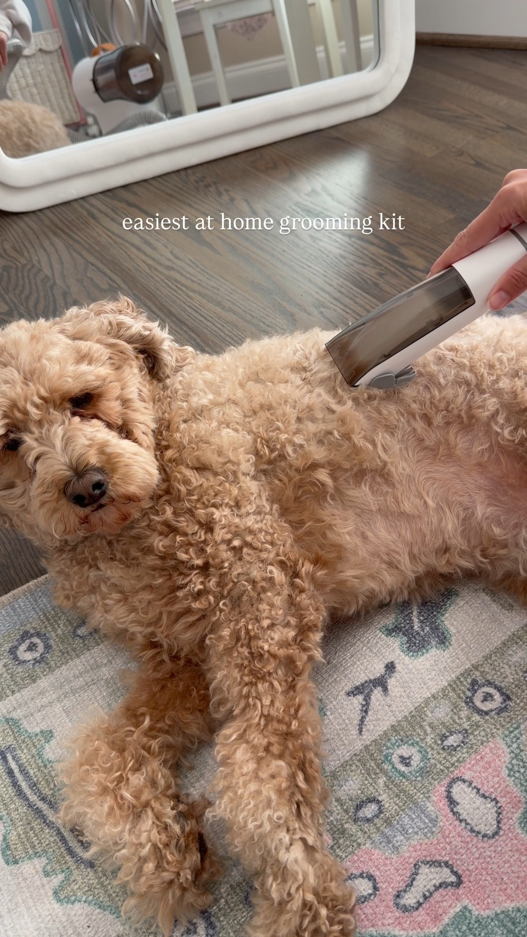 Easiest at home dog grooming kit 