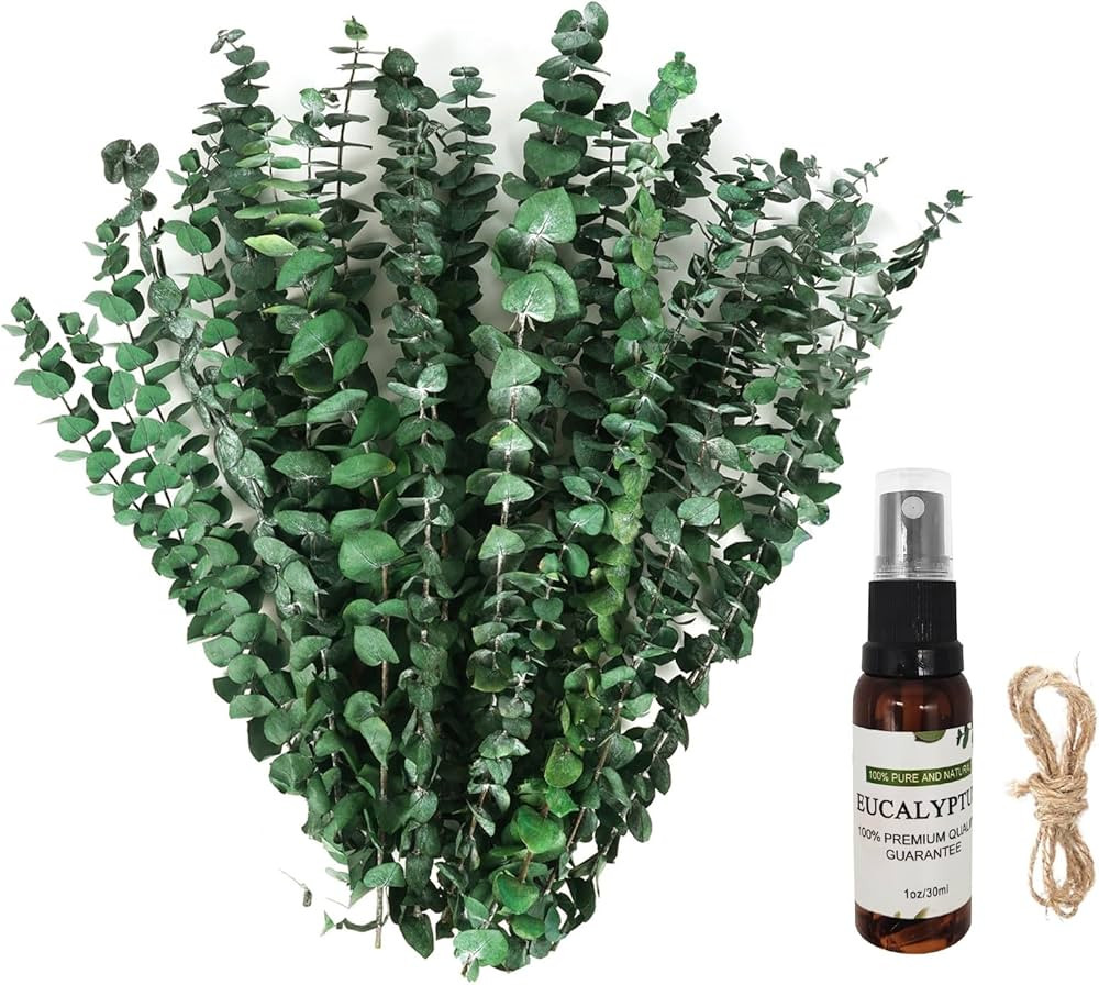 28Pcs Dried Eucalyptus Stems-17'' Real Eucalyptus for Shower Hanging, Made from Fresh Natural Euc... | Amazon (US)