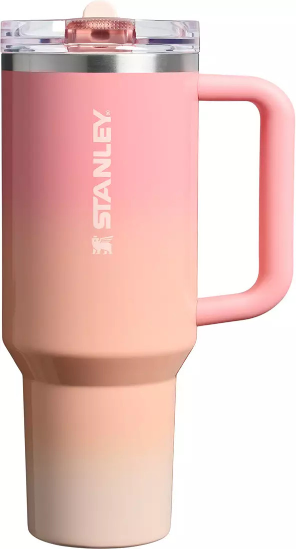Stanley 40 oz. Quencher ProTour Flip Straw Tumbler - Summer Edit | DICK'S Sporting Goods