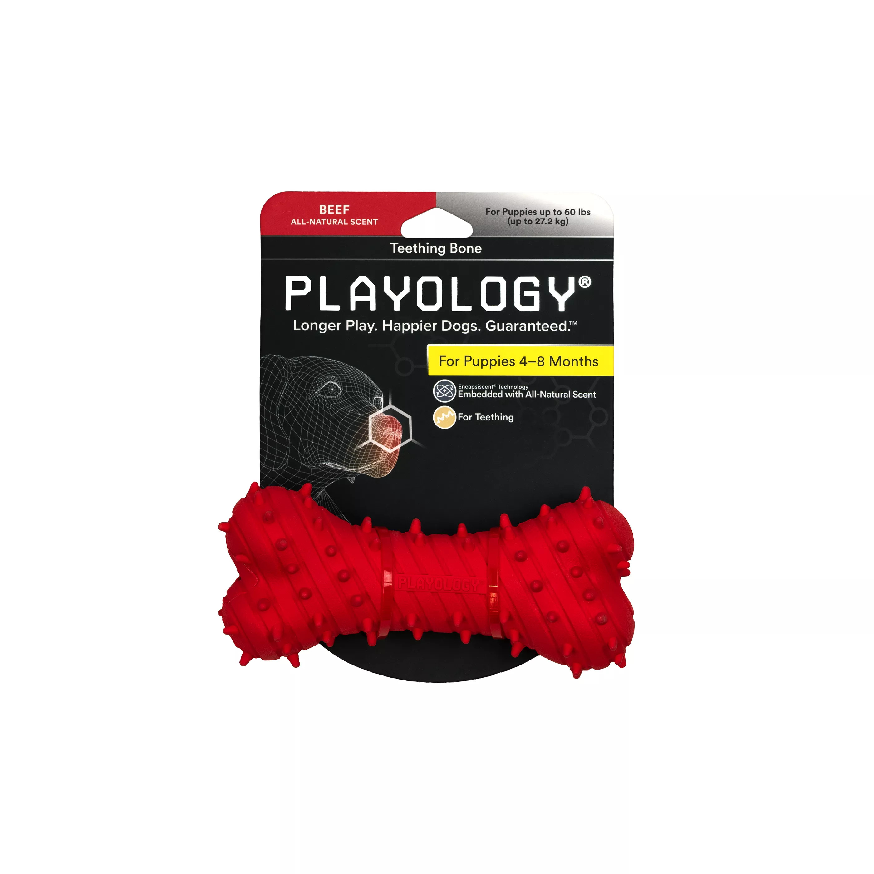 Playology ® Puppy Teething Bone Scented Dog Toy - Beef | PetSmart