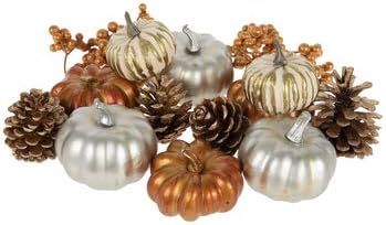 Copper Gold and Silver Pumpkins and Pinecones Fall Autumn Home | Amazon (US)