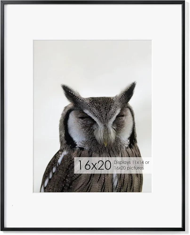 16x20 Metal Picture Frame with 11x14 Mat, Brushed Aluminum Finish, Tempered Glass Front, and Atta... | Amazon (US)