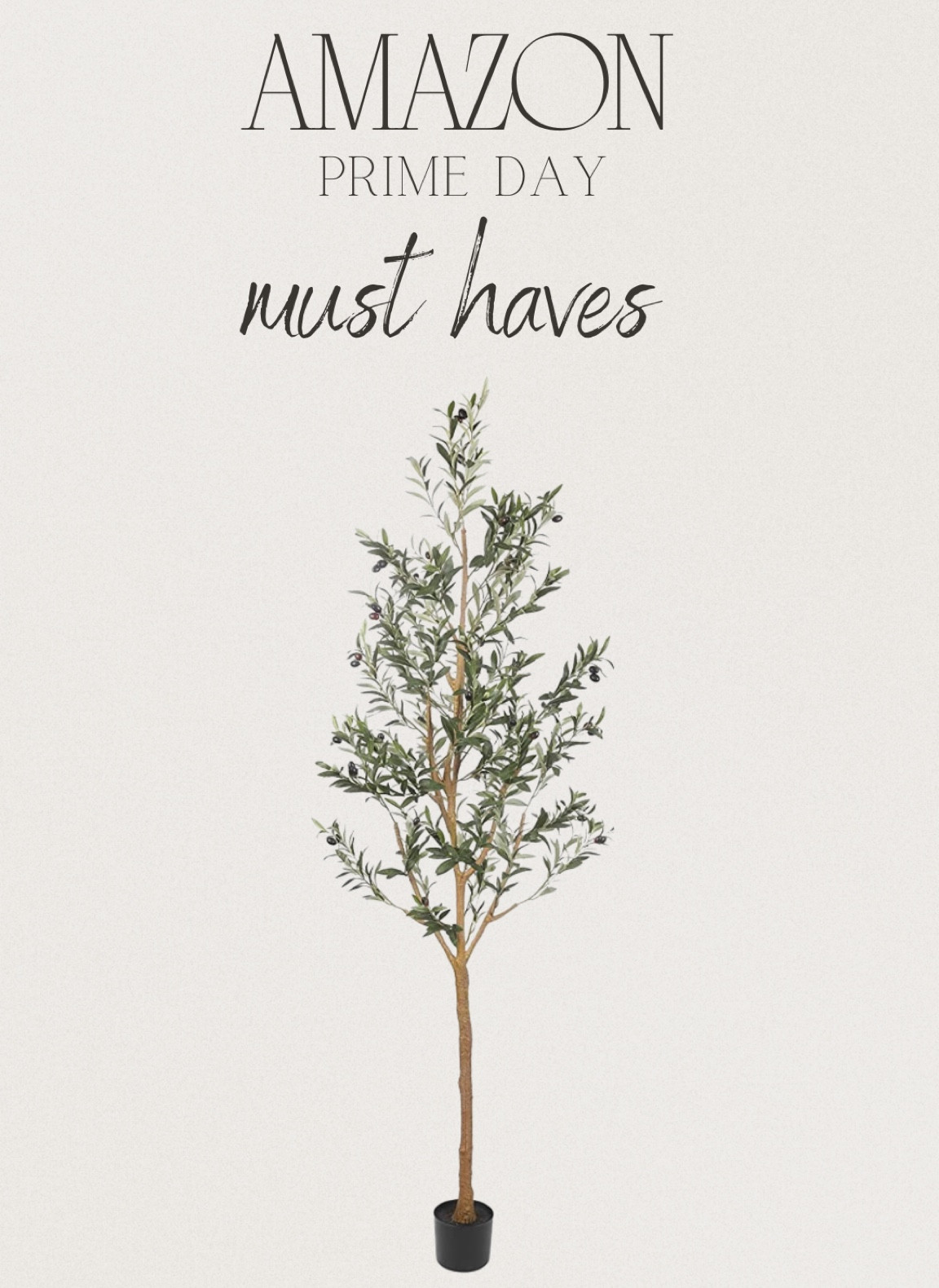 My olive tree is on sale!! This beauty is the perfect home decor addition! 

#LTKxPrimeDay #LTKhome #LTKsalealert