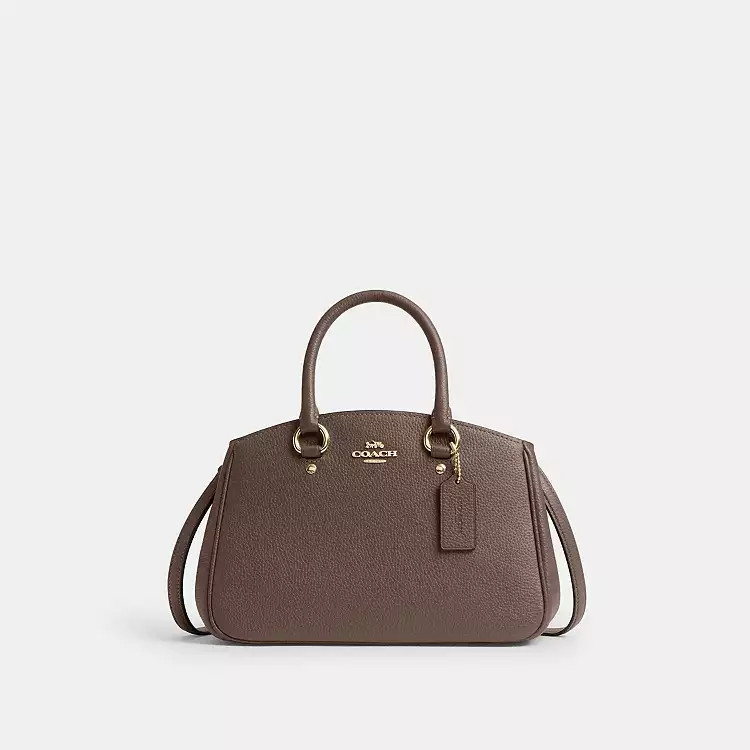 Savannah Small Carryall Bag | Coach Outlet US