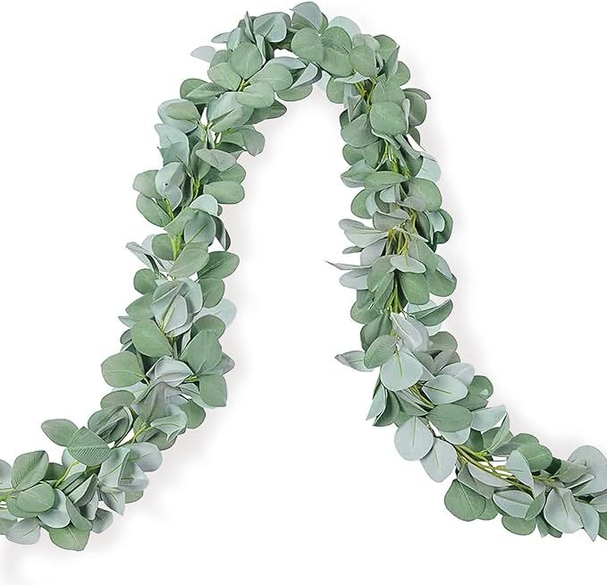 Meiliy Eucalyptus Garlands 6.5ft Lamb’s Ear Greenery Garland Silver Dollar Leaves Vines for Wed... | Amazon (US)