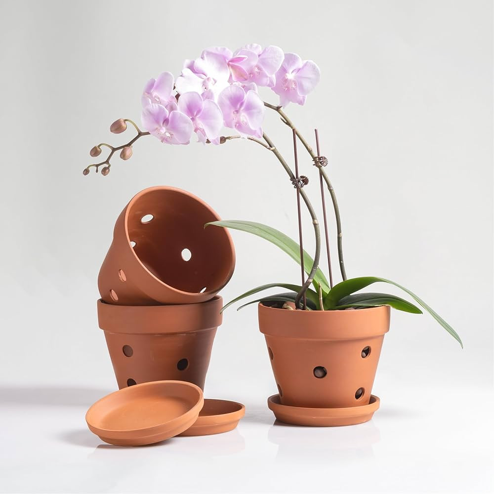 Orchid Terracotta Pots with Drainage Holes & Saucer,6 Inch Orchid Clay Pots for Repotting, Flower... | Amazon (US)