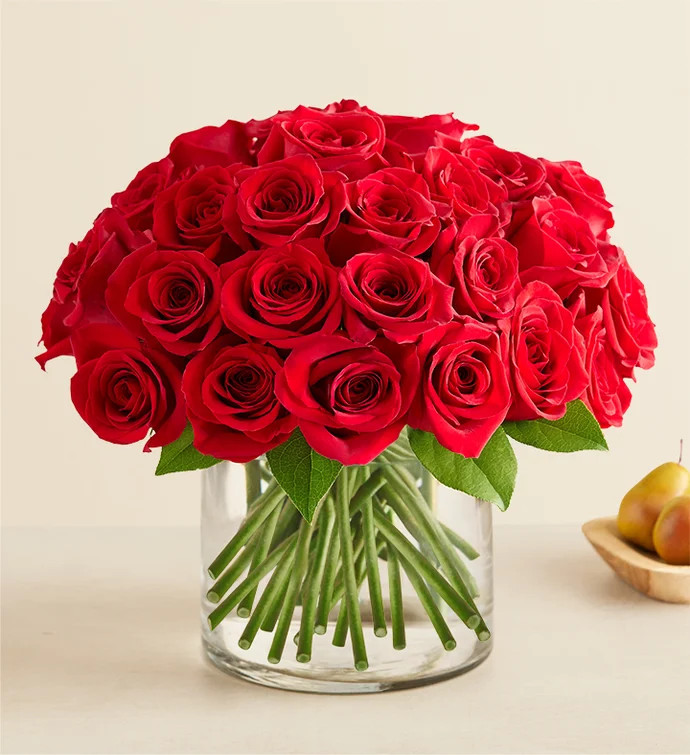 Contemporary Red Roses | 1800flowers.com