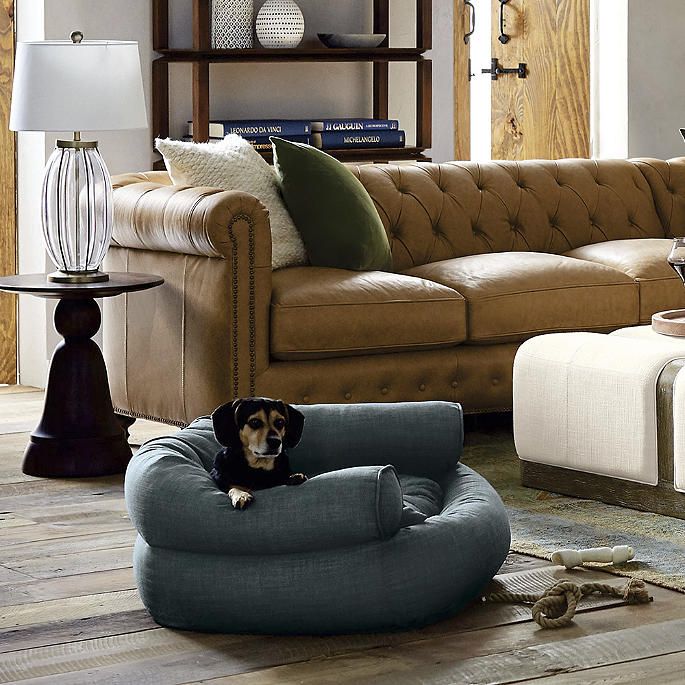 Comfy Couch Pet Bed | Frontgate