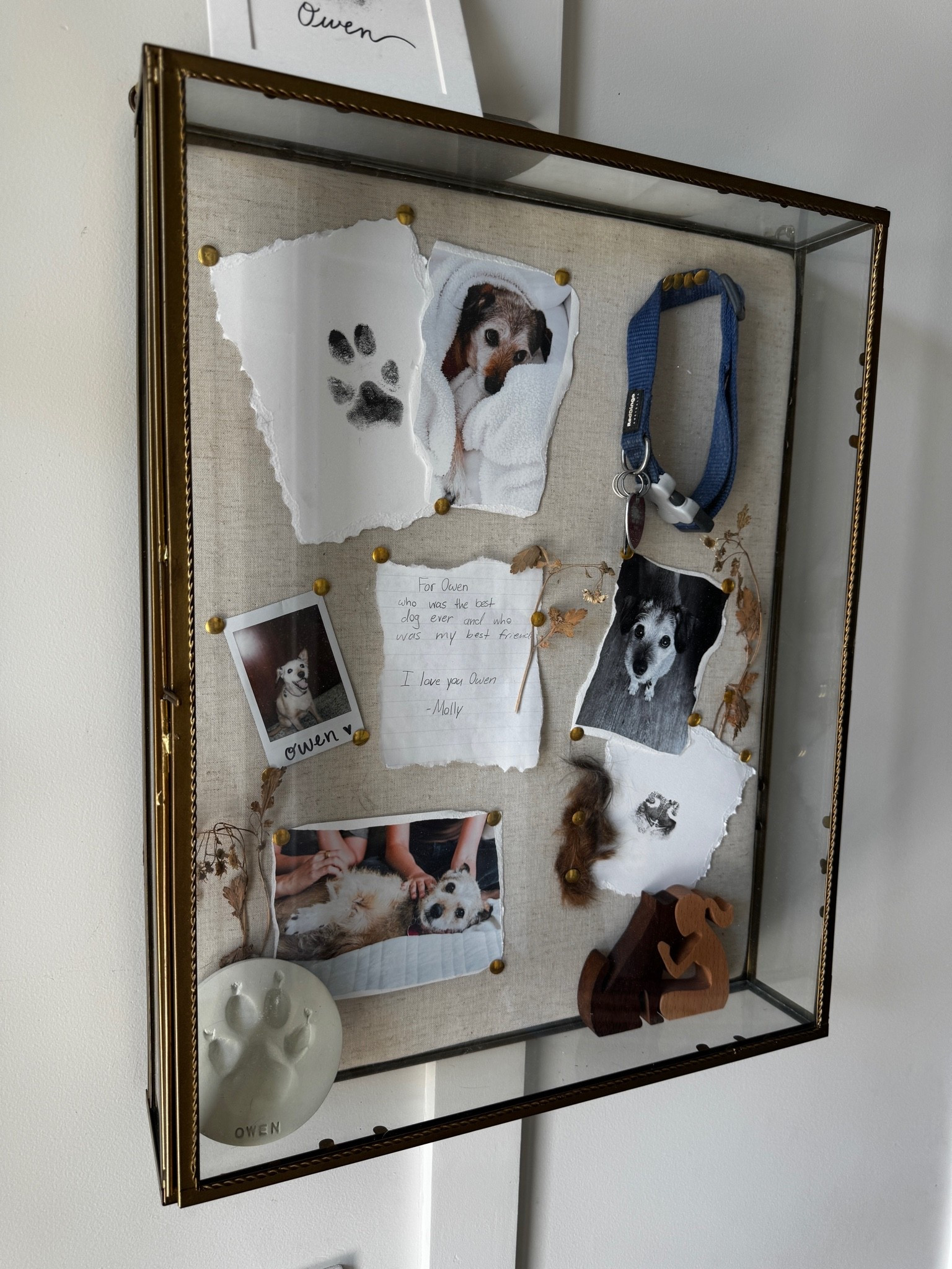A lot of people are asking me to link this memory box that I made for our The Love dog Owen. Sharing it here. It’s on sale so sharing a handful of other things from their site that we also have in Love throughout our home ￼￼
