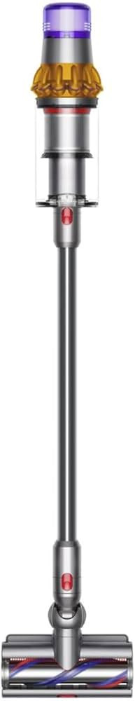 Dyson V15 Detect Cordless Vacuum Cleaner, Multicolor | Amazon (US)
