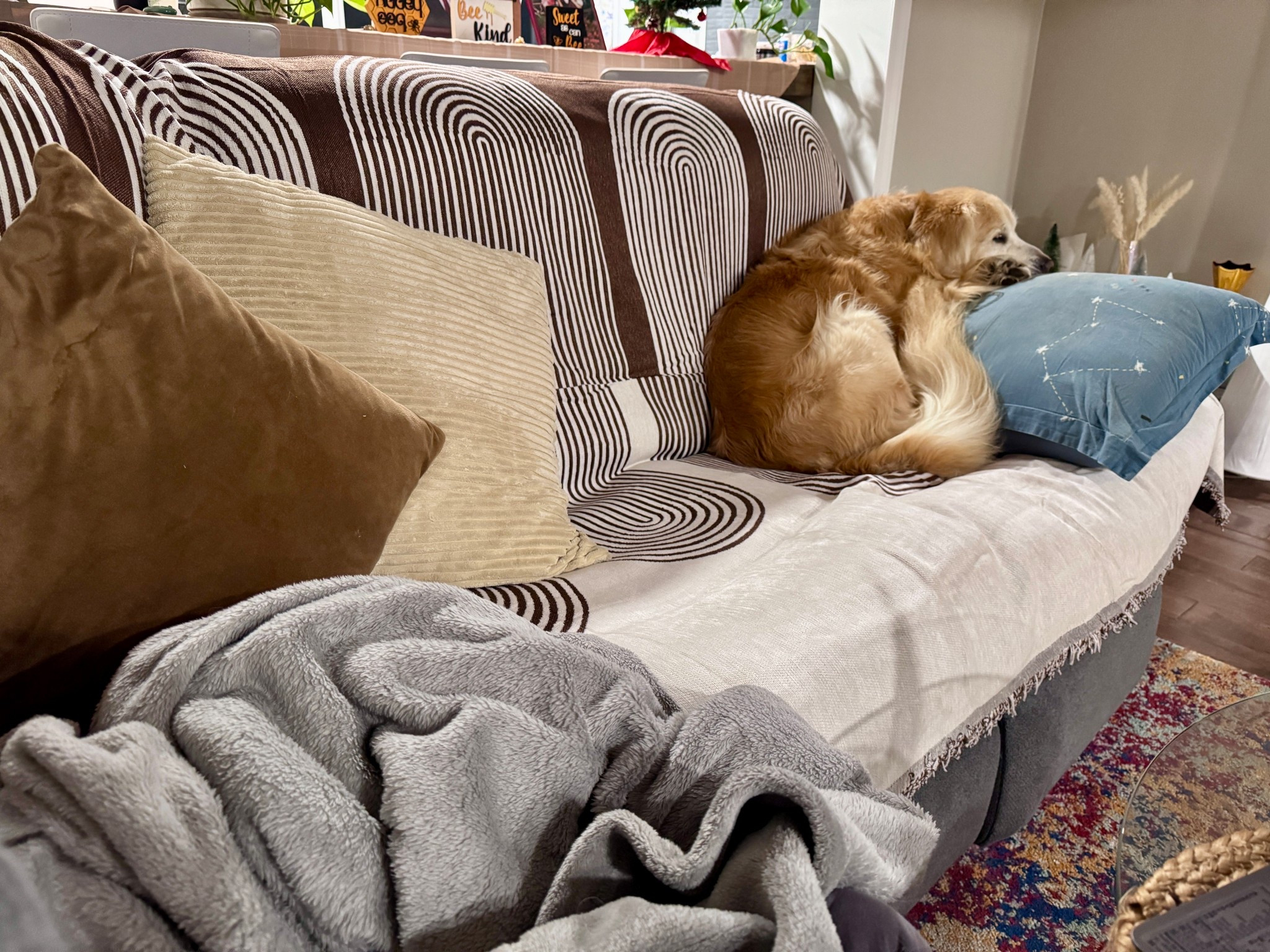 WALMART Haul ( watch my YT channel - @ pamdsouza)
https://youtu.be/cMvv3kqGMss

I shared this couch cover , this is how it looks :)

#LTKvlog #LTKHome #LTKmomlife