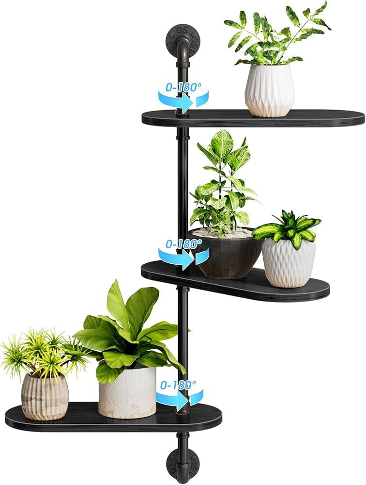 3-Tier Rotating Window Plant Shelf, Wooden Indoor Plant Stand for Optimal Light Exposure,180° Ro... | Amazon (US)