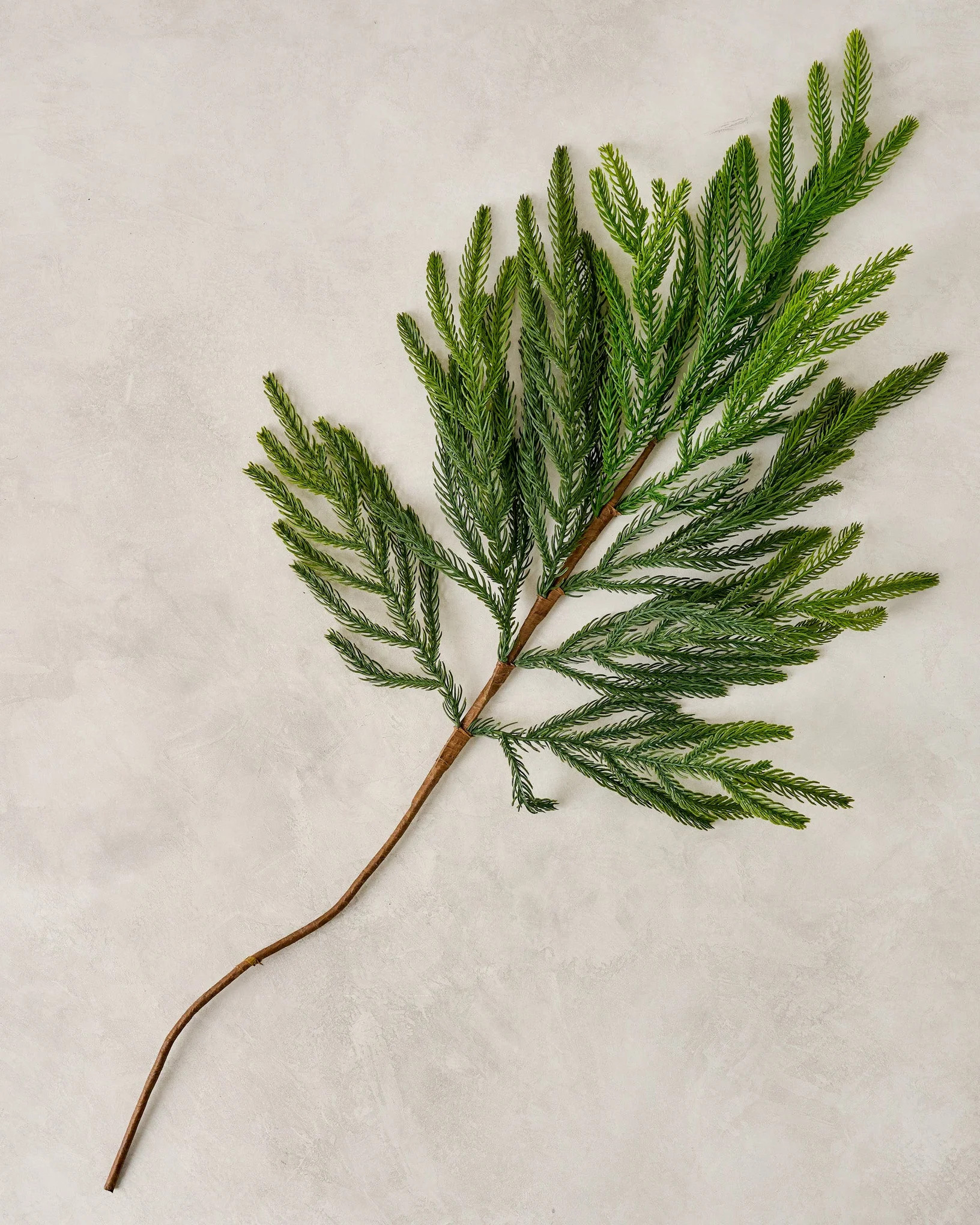 Real Touch Norfolk Pine Spray | Magnolia
