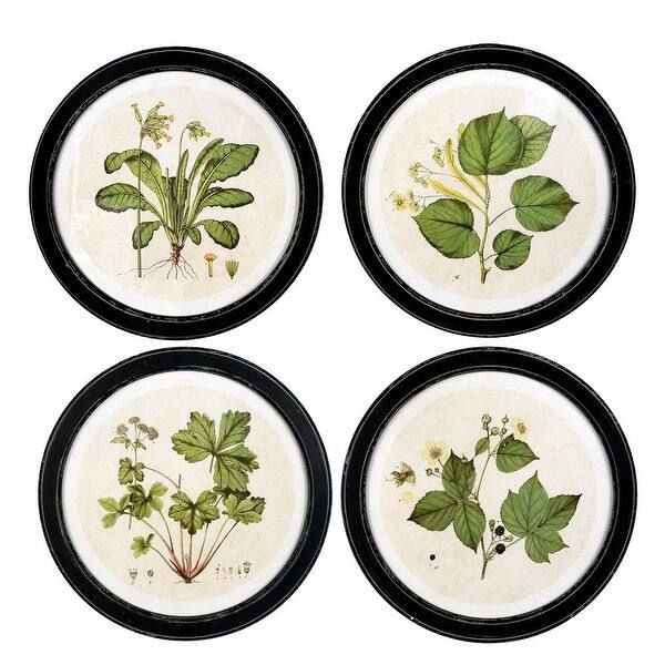 13.75 in. Wood Framed Wall Décor with Vintage Reproduction Botanical Print, Set of 4 Styles | Bed Bath & Beyond