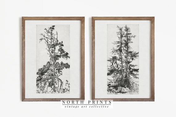 Pine Tree Sketch SET  Vintage Botanical Drawing  Rustic - Etsy | Etsy (US)