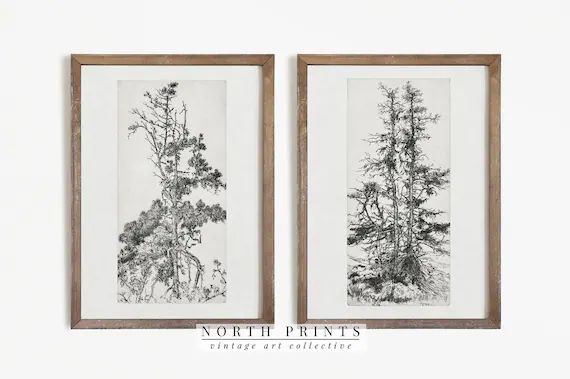 Pine Tree Sketch SET  Vintage Botanical Drawing  Rustic - Etsy | Etsy (US)