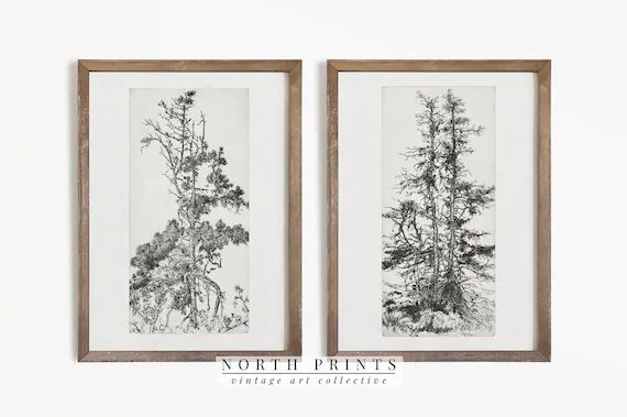 Pine Tree Sketch SET | Vintage Botanical Drawing | Rustic Etching PRINTABLE #S2-6 | Etsy (US)