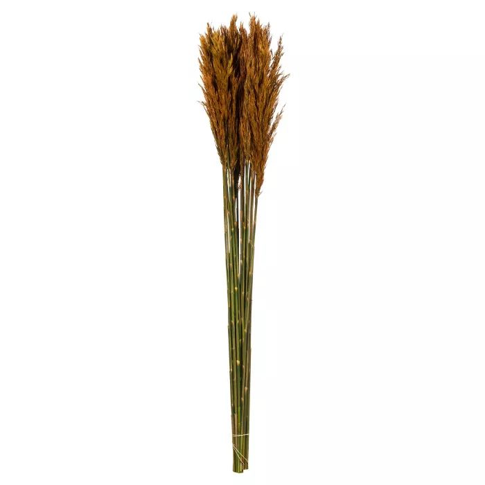 Vickerman all Natural Plume Reed Bundle, Preserved | Target