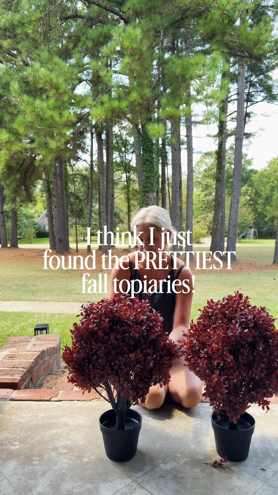 Welcome to another installment of my Fall Home Series—and these might be my favorite porch find yet!

I honestly haven’t seen fall topiaries this beautiful and lifelike in a LONG time.

They have that gorgeous, full look of real seasonal greenery without the watering, trimming, or trying to keep them alive. 

And the fall colors are SO good!

If you’re looking for an easy way to add instant fall vibes and curb appeal without completely redoing your porch, these are such a good option.

And you know I’m always looking for ways to get that designer look without the designer price tag.

Tap the link to see all the colors and styles!

SAVE this for your fall decorating because I have so many more budget-friendly ideas coming in my Fall Home Series! 

#FallHomeSeries #FallDecor #FallHomeDecor #FallFrontPorch #FallPorchDecor #FallTopiary #Topiary #FrontPorchIdeas #FallCurbAppeal #FallDecorating #OutdoorFallDecor #FrontDoorDecor #PatioDecor #FauxPlants #FauxTopiary #AffordableHomeDecor #BudgetFriendlyDecor #DesignerForLess #HomeDecorIdeas #HomeStyling #DesignDetailsByDana

#LTKSeasonal #LTKHome #LTKdayinmylife