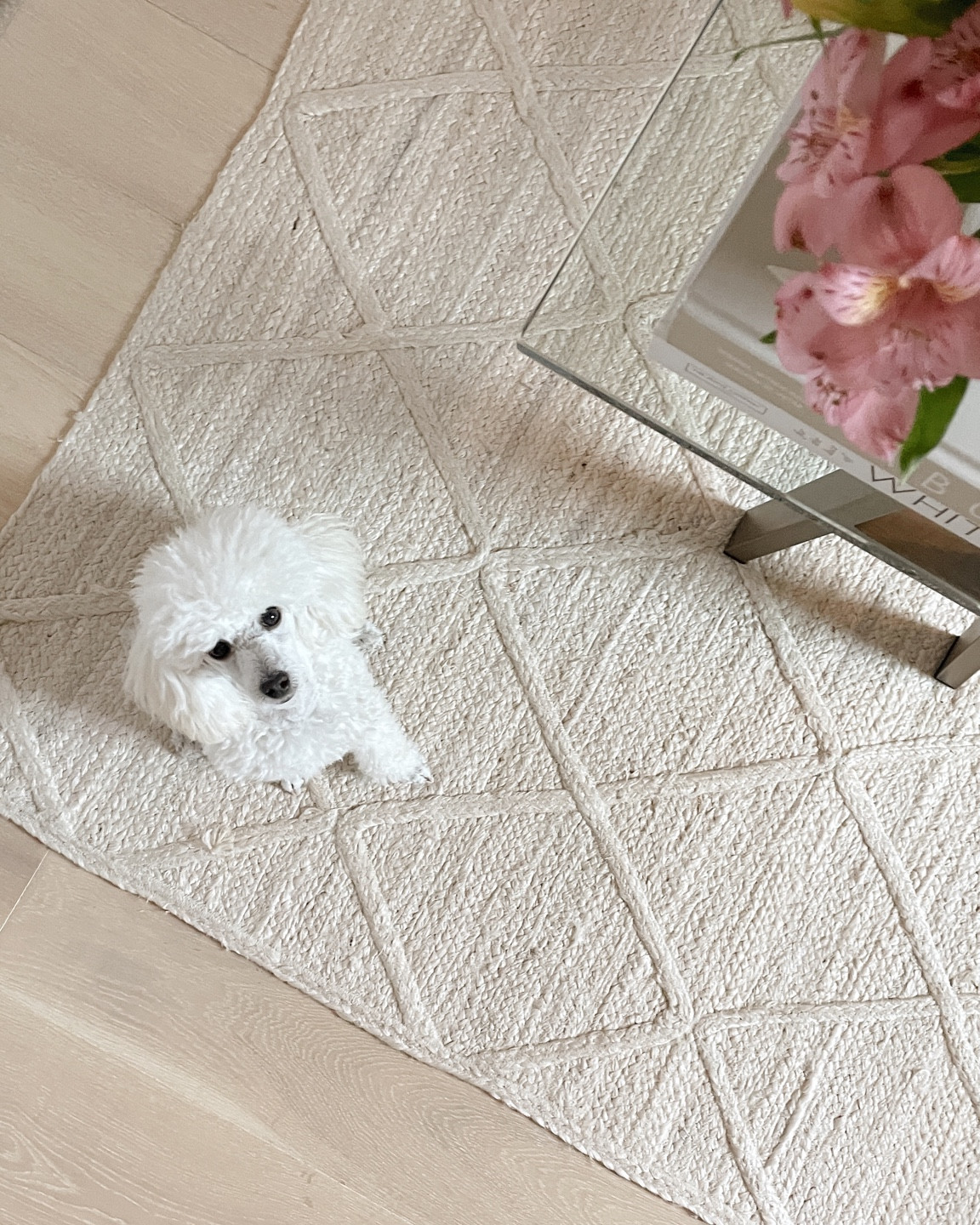 Serena and lily rug, jute rug, home decor, office decor, area rug, spring decor 

#LTKstyletip #LTKhome #LTKsalealert