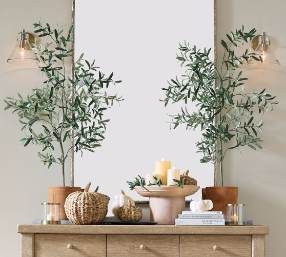 Potted Olive Tree 4Ft | Pottery Barn (US)