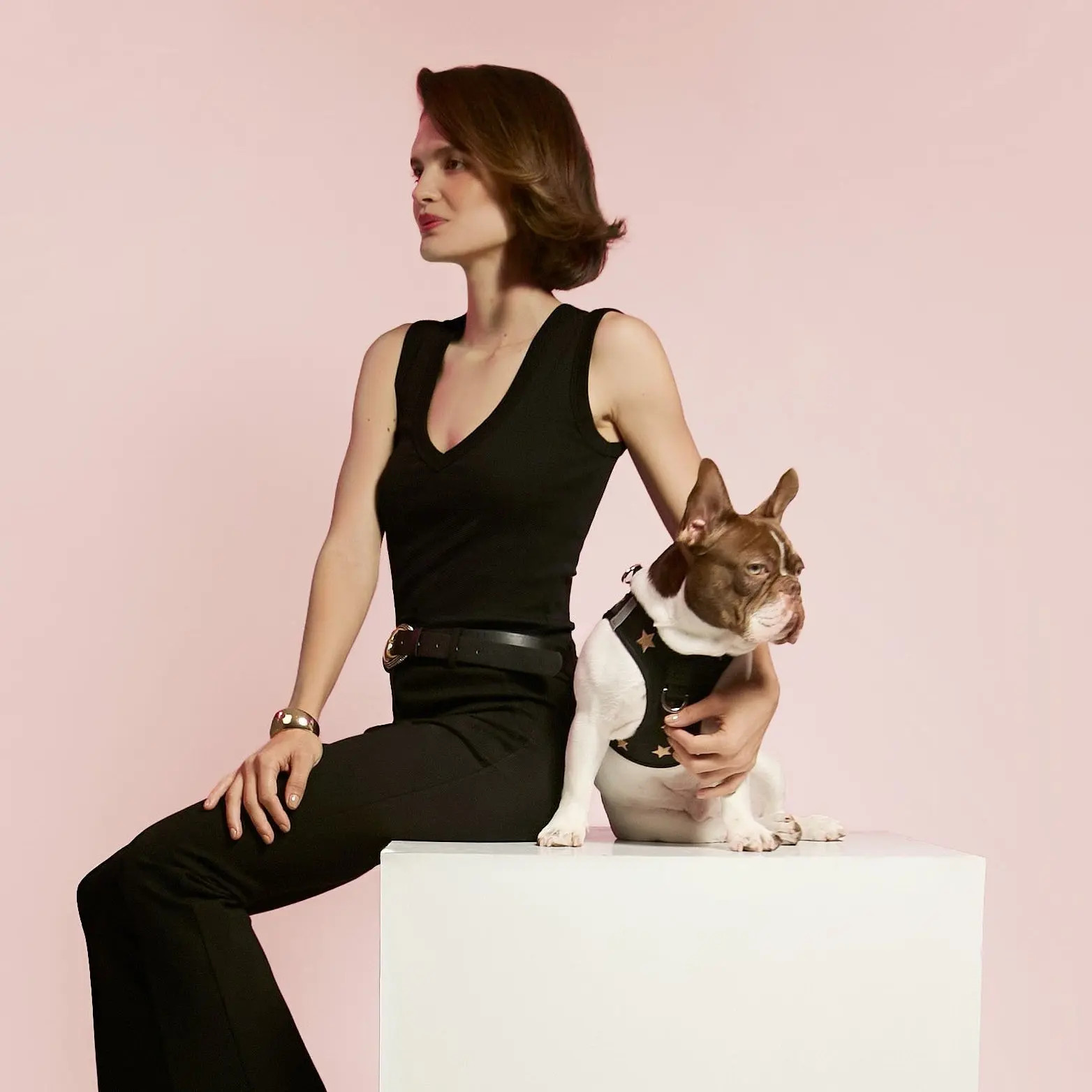 SoHo Dog Harness | Nordstrom | Nordstrom