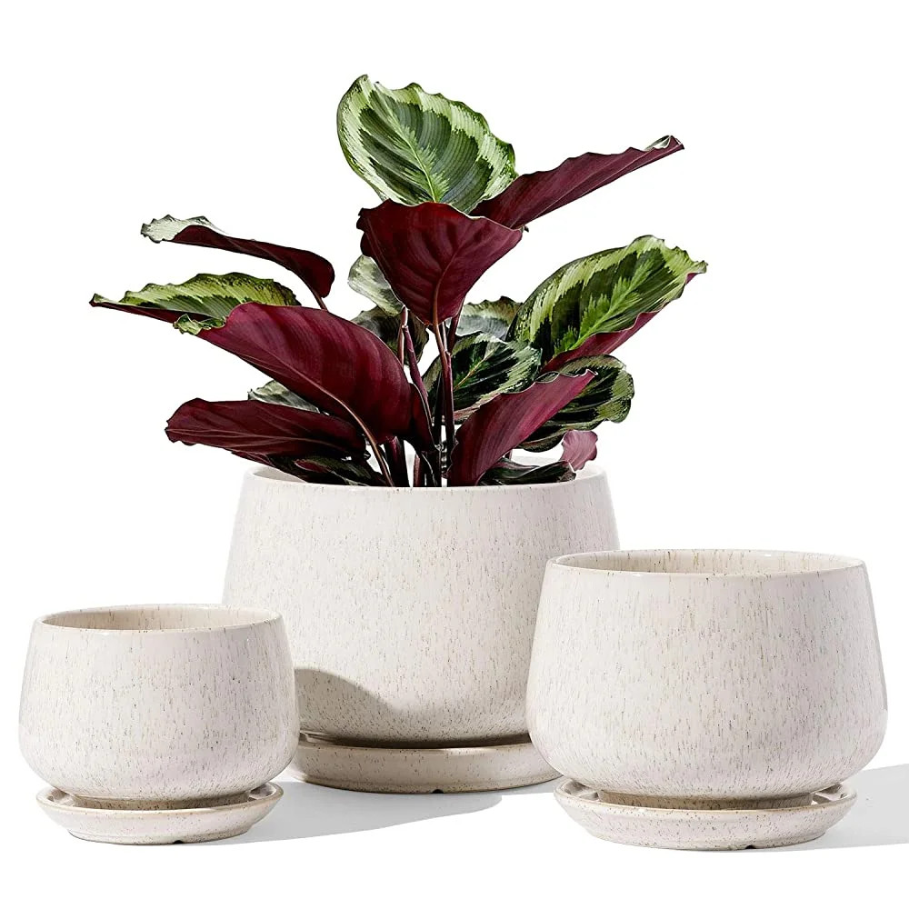 LE TAUCI 4.1+5.1+6.5 Inch Ceramic Plant Pots with Drainage Hole and Saucer, Set of 3, Reactive Gl... | Walmart (US)
